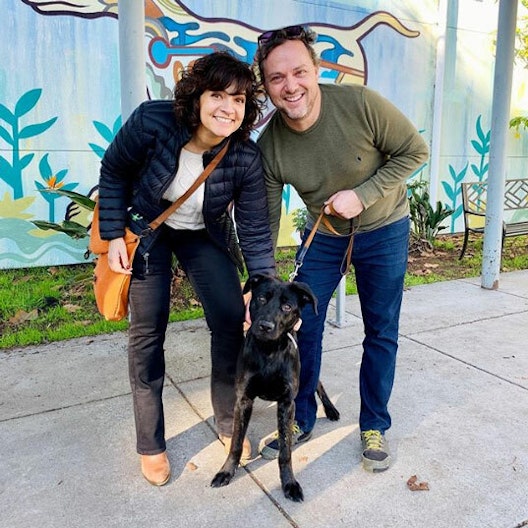 Dog Adopter