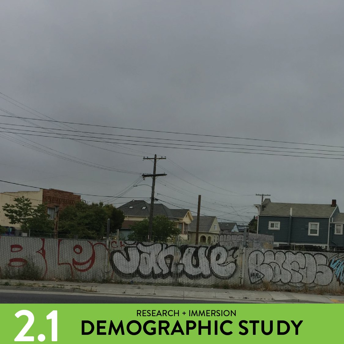 Task 2.1 - Demographics