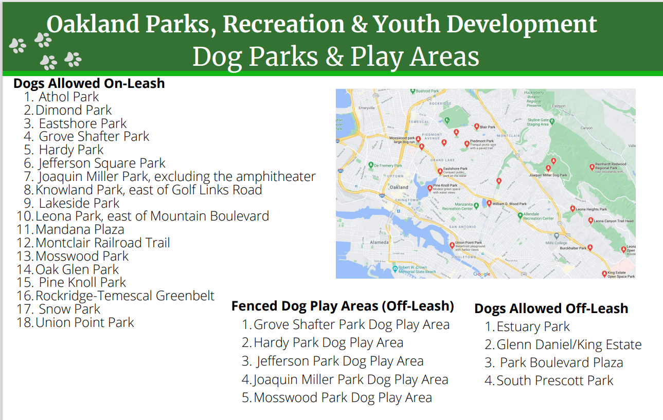 Dog Friendly Parks Image