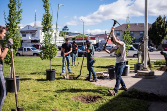 Volunteer Action Shot