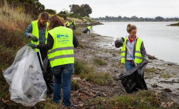Volunteers Cleaning Up Marsh