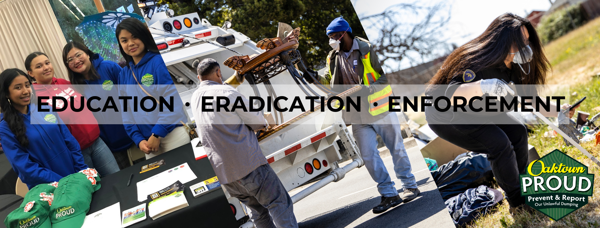 The Three E's: Education, Eradication, Enforcement